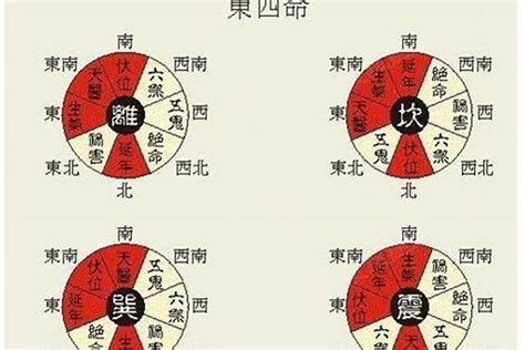 离卦 东四命|东四命离命人的总体运势怎幺样